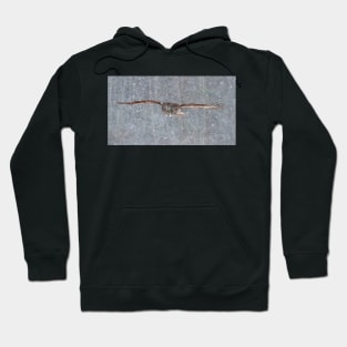 Snowfall - Great Grey Owl Hoodie